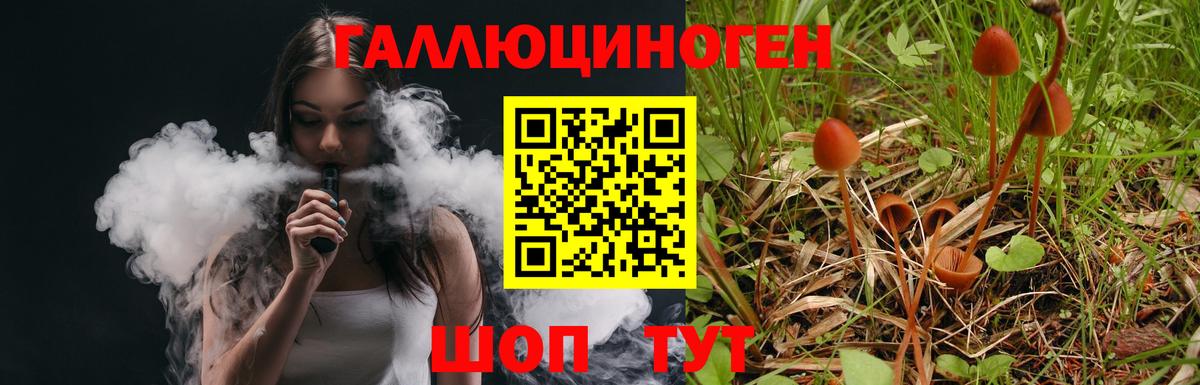 Волгодонск  Галлюциногенные грибы Cubensis  наркота  Вход с VPN 
